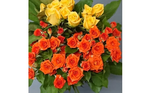 バラ生花（20本）定期便3回