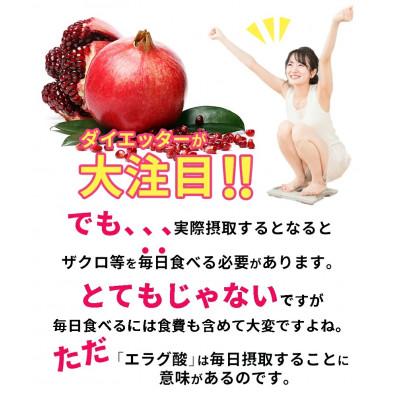 ふるさと納税 富山市 エラグ酸 サプリ 約半年分エラグ酸サプリメント 540粒 | 
