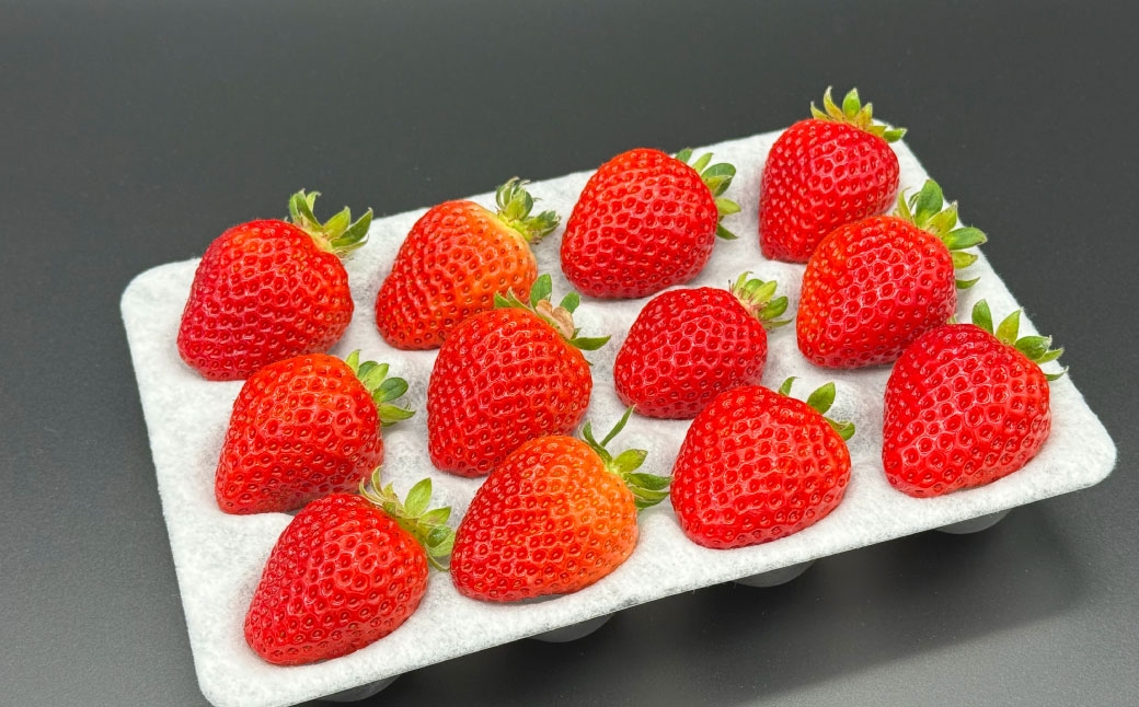いちご 「 さちのか 」 約500g（500g×1箱）