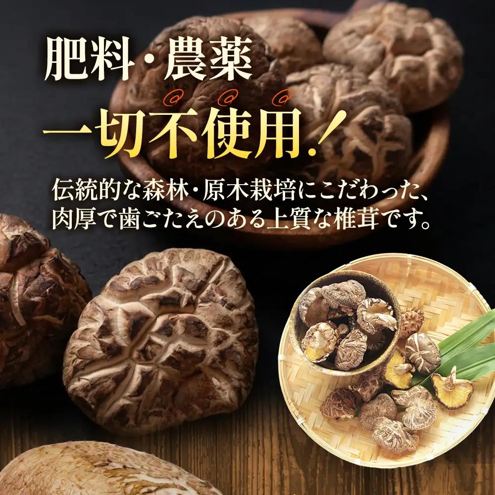 乾燥しいたけ 6種セット 椎茸 干ししいたけ 野菜