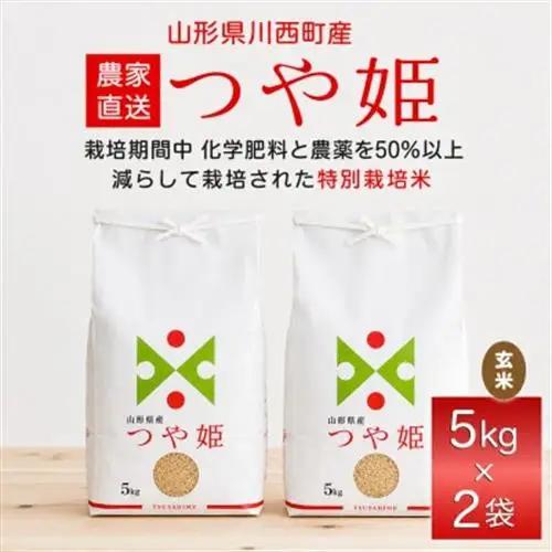 《先行予約》令和8年産　山形県産　つや姫　玄米　10kg(5kg×2)_ 玄米 米 こめ コメ   つや姫 米 _【1208104】