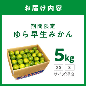 糖度抜群！ゆら早生（みかん）5kg≪先行予約≫【0162-3】