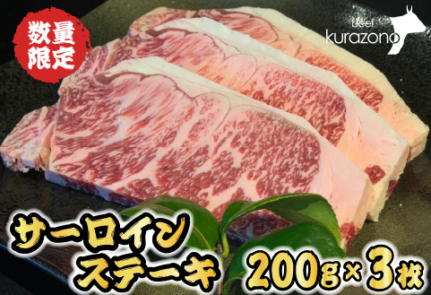 【食べログ百名店提供】黒毛和牛サーロインステーキ 200g×3枚（牛肉 国産牛 黒毛和牛 宮崎和牛 サーロイン ステーキ 赤身 霜降り）
