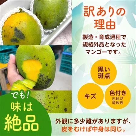 【2026年8月から順次発送・訳あり】JAおきなわ厳選 幻のキーツマンゴー2kg(2～3玉)【配送不可地域：離島】【1724304】