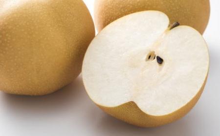 厳選 産直 有田産 梨 ( 豊水 ) 約4kg フルーツ 梨 果物 梨 なし 豊水 梨 送料無料 梨