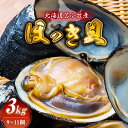 【ふるさと納税】北海道苫小牧産　ほっき貝　3kg（9～11個） 魚介類 水産 食品 人気 おすすめ 送料無料