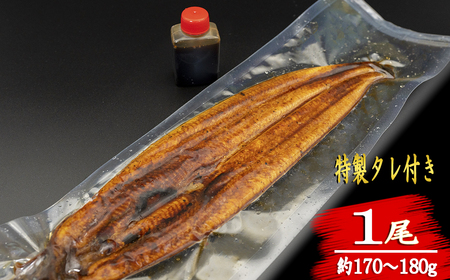 【定期便/計6回】海鮮【惣菜海鮮】BE004