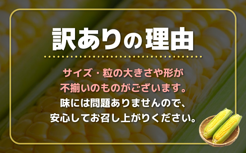 【先行予約】【訳あり】農場直送 鮮度抜群 スイートコーン( とうもろこし ) 約2.5kg（6本～8本) 【2025年7月上旬から順次発送予定】 【お楽しみ バーベキュー 冷凍保存可能 焼肉 おやつ 