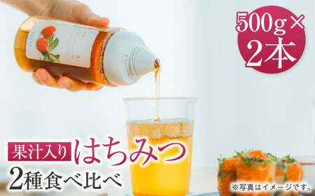 熊本 杉養蜂園 【ゆず蜜×ハニーレモン】果汁入り はちみつ 500g 2種 計1kg 食べ比べ 蜂蜜