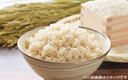 【伊勢神宮奉納】さがびより 七分づき無洗米 4kg (2kg×2袋) / 佐賀県 / 株式会社SUMRICE[41AAAV004]