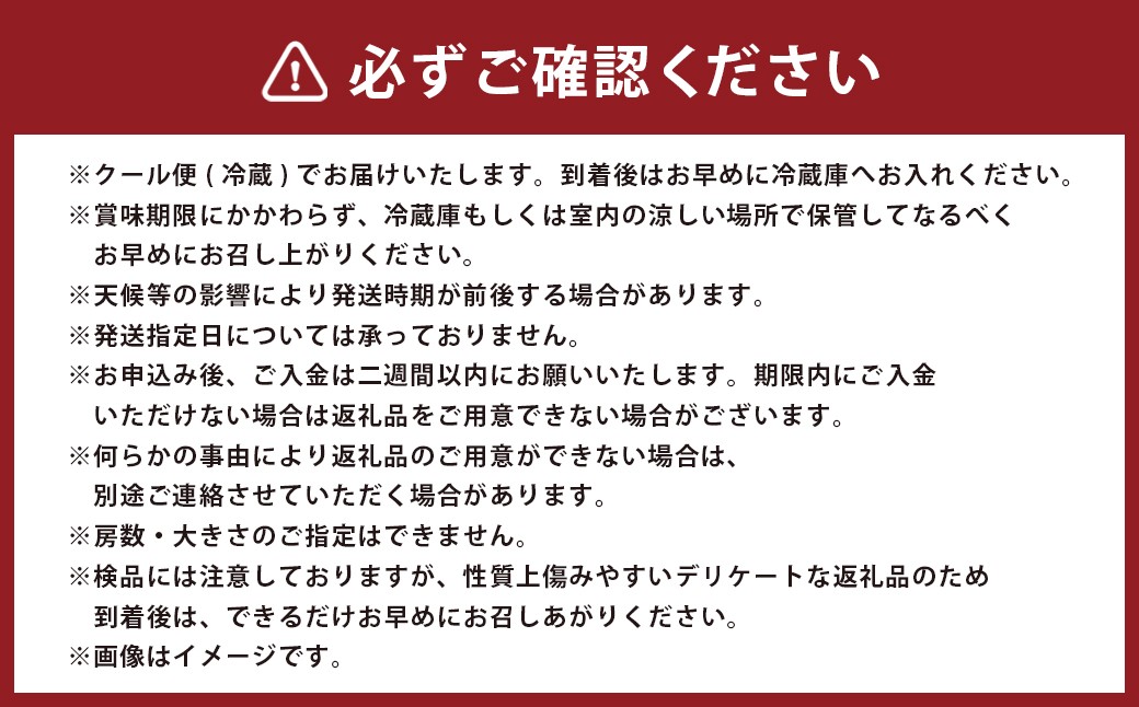 熊本県湯前産巨峰約1.8kg※種あり根域制限栽培