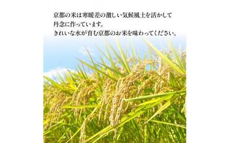 【令和5年産】京都のお米 食べ比べ 1Kg×3袋セット （ 丹後コシヒカリ 京式部 丹波キヌヒカリ 食べ比べ 詰め合わせ 1Kg×3袋セット  2023年度 )