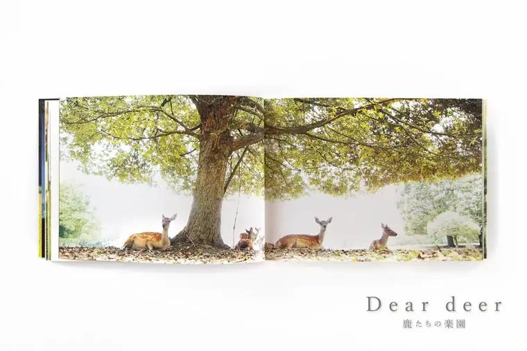 奈良の鹿 写真集「Dear deer 鹿たちの楽園」（KAZUTO PHOTO OFFICE 佐藤和斗） J-63