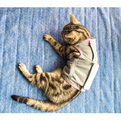 ふるさと納税 豊中市 猫の介護服CARETECT(R)Mサイズ