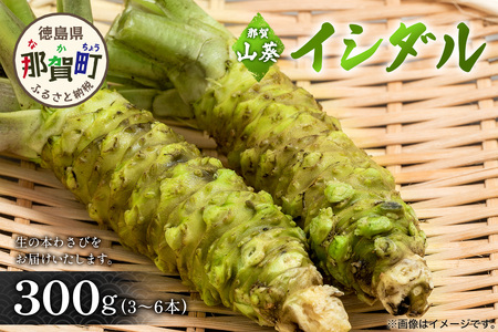 那賀わさび (イシダル) 約300g 3～6本【徳島県 那賀町 生産者直送 産地直送 本わさび わさび ワサビ 生わさび 山葵 野菜 香味野菜 国産 イシダル 薬味 調味料 万能 新鮮】FN-13