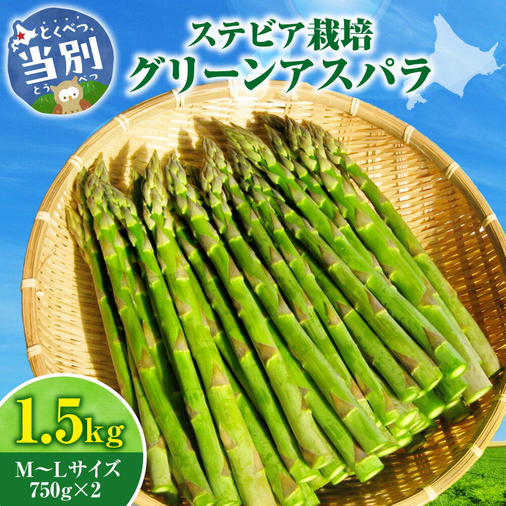【ふるさと納税】【2026年先行予約】ステビア栽培グリーンアスパラ 1.5kg 高橋幸治《2026年5月下旬-6月中旬頃出荷》北海道 当別町 野菜 やさい アスパラガス アスパラ グリーンアスパラ 極太 北海道産 季節限定 旬 春 当別 美味しい ヘルシー とれたて