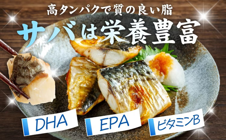 【定期便】塩さば 1kg（250g×4P）全6回【お弁当サイズ 生活応援 サバ 小分け 青魚 塩鯖 塩サバ 切身 塩焼き 焼きさば 焼き鯖 人気 冷凍 冷凍食品 おかず 惣菜 訳あり サイズ不揃い】 