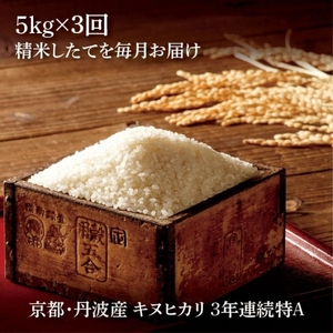 【3回定期便】令和7年産 キヌヒカリ 5kg 定期便 精米 白米