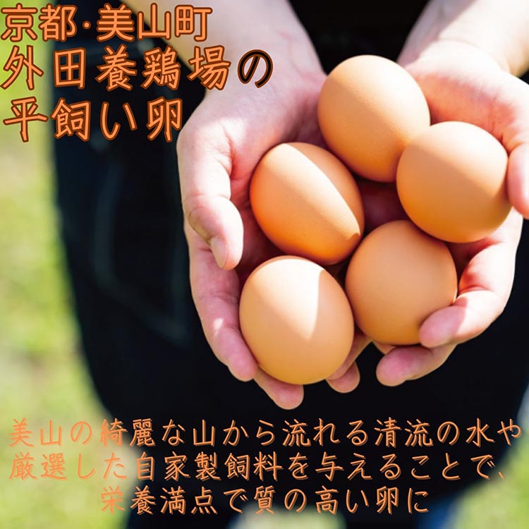 【12回定期便】野菜詰め合わせ ＆ 卵 10個 有機野菜・京野菜の『京都やおよし』｜野菜 玉子 たまご 京都産 オーガニック 有機JAS 農薬不使用 減農薬 定期便 野菜セット※北海道・沖縄・離島への