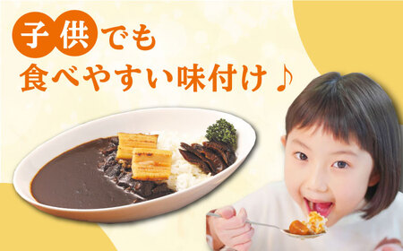 FISH COOK BOOK　対馬防人あなごカレー　4個《 対馬市 》【 うえはら株式会社 】 優勝商品 対馬 あなご 穴子 カレー スパイス 自衛隊 コラボ おみやげ[WAI081] コダワリカレー