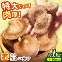 【ふるさと納税】原木生椎茸 約1kg（8個〜10個）入り＜2025年1月〜2月発送＞高槻市産 数量限定 期間限定　大阪府高槻市/高槻あぐり[AOCS001][AOCS001]