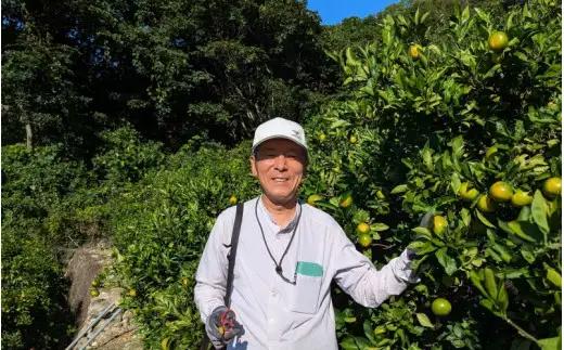伊予柑 和歌山みかん 秀品 10kg 贈答用 / 柑橘 贈り物 甘い 果物  ※2027年1月中旬頃～3月上旬頃に順次発送予定【ksmt009-r-10】