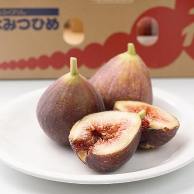 ふるさと納税 遠賀町 【先行受付】福岡産ブランドいちじく「とよみつひめ」約300g×4パック(遠賀町) |  | 01