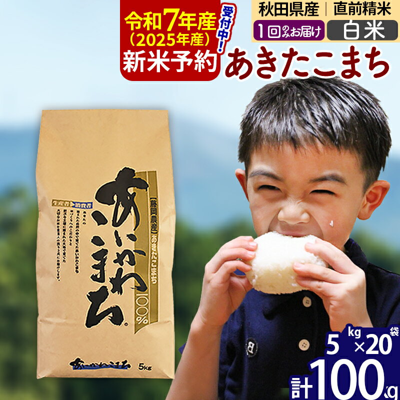 【ふるさと納税】※令和7年産 新米予約※秋田県産 あきたこまち 100kg【白米】(5kg小分け袋) 【1回のみお届け】2025産 お米 藤岡農産
