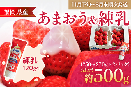 福岡産 あまおう  2パック 合計約500~540g コンデンスミルク 練乳 いちご 苺 果物 フルーツ 九州産 福岡県産 冷蔵 送料無料