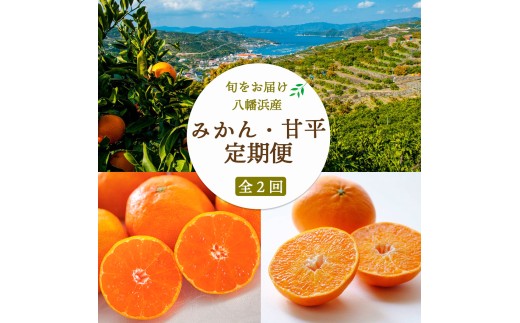 ＜発送月固定定期便＞愛媛みかん小玉6kg(訳)×甘平3kg(訳)＜G25-261＞全2回【4071215】 YWTAP202