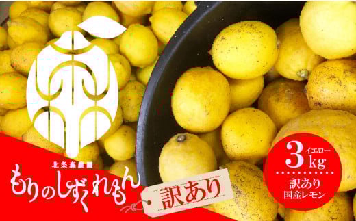 【訳あり】 数量限定 もりのしずくれもん イエローレモン 3kg 国産 レモン 先行予約 レモン れもん 檸檬 レモン果汁 酸味 果物 ビタミン 健康 フルーツ 柑橘 農家直送 産地直送 数量限定 国産 愛媛 松山 レモン レモンサワー ジュース チューハイ 果物 くだもの 果実 国産 フルーツ 有名 愛媛 みかん 愛媛県産 瀬戸内 ビタミン レモン れもん デザート スイーツ 人気 おすすめ