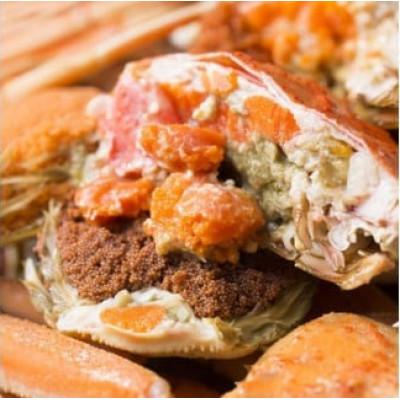 ふるさと納税 北栄町 【先行予約】【蒸し】足折れご自宅用　親ガニ(セコガニ)6枚　※11月中旬から順次発送 |  | 01