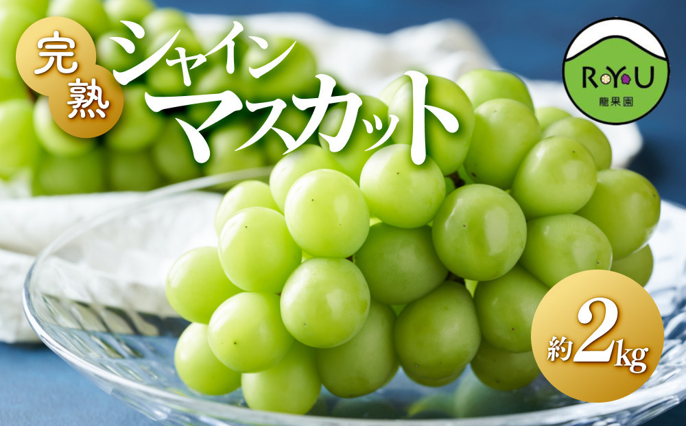 完熟シャインマスカット（通常品） 2kg 232238_BB31