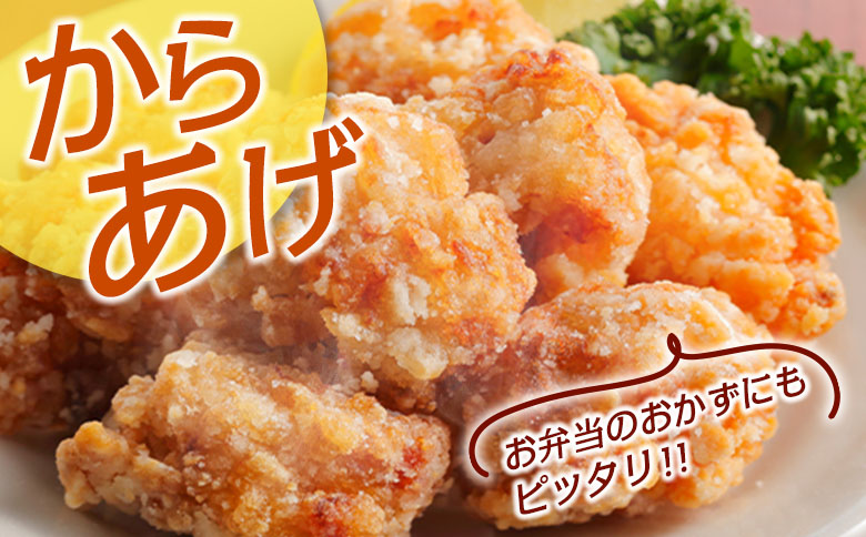 ＜最速便＞一口サイズの小分け真空パック！300g×10袋 宮崎県産 若鶏 もも肉 切身 計3kg 国産 鶏肉 冷凍【B608-24】