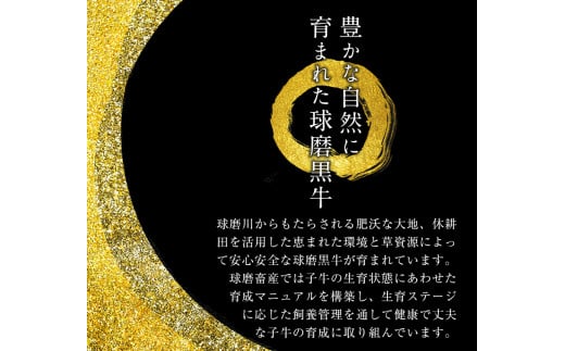 A4等級以上 熊本県産黒毛和牛 サーロインステーキ 3枚入り(1枚200g前後) チクキョウミート《60日以内に出荷予定(土日祝除く)》