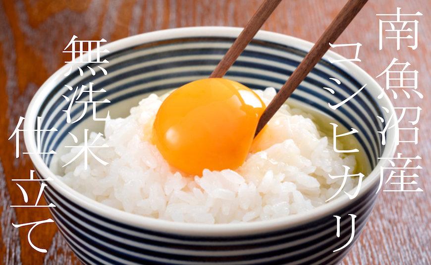【令和7年産】【定期配送4Kg×全6回】吟精 無洗米 南魚沼産コシヒカリ【2025年10月上旬より順次発送予定】