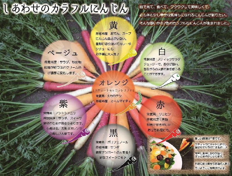 【期間限定】 冬の寒さでぎゅっと濃い！虹色のカラフルにんじん 鈴盛農園 農家直送 甘い スーパーフード 健康 自慢 ジュース サラダ ギフト 贈り物 βカロテン ポリフェノール リコピン ジューシー 
