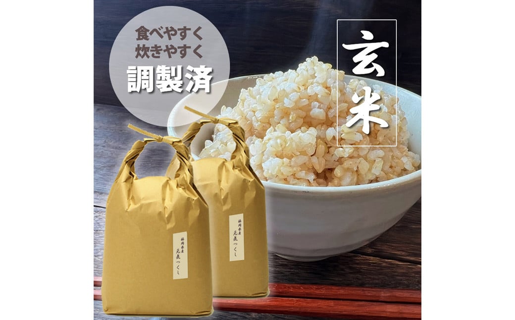 【令和6年産】福岡県産 【特A】評価のお米「元気つくし」5kg×2袋（10kg）玄米 お米 米