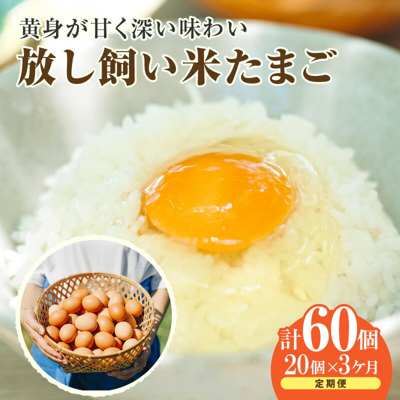 【ふるさと納税】【3ヵ月定期便】放し飼い 米たまご 15個+5個保証【計20個】 農家直送 赤たまご 新鮮 卵 純植物性飼料 飼料にこだわった 卵かけご飯 卵 定期便 3回 送料無料