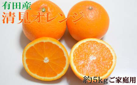 【濃厚】有田産清見オレンジ約5kg(M～3Lサイズおまかせ)ご家庭用 ※2026年2月中旬～2026年3月中旬頃に順次発送予定（日付指定不可）【tec959A】