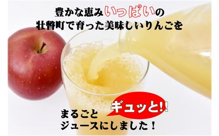 ＜2026年1月下旬よりお届け＞りんごジュース「北国の雫」(壮瞥町産りんご100%) 300ml×5本 SBTA082
