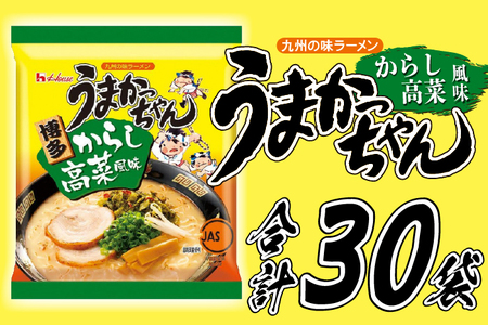 うまかっちゃん　博多からし高菜風味　30食（5食入り×6パック）[Ｍ244-2]　ラーメン 豚骨 インスタント 乾麺 即席麺 拉麺 保存食 九州
