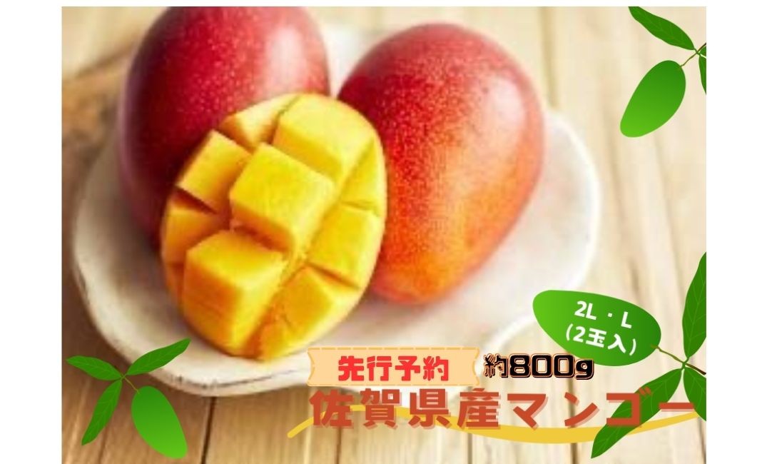
                  【先行予約】佐賀県産マンゴー約800g 2L・L (2玉入)
                