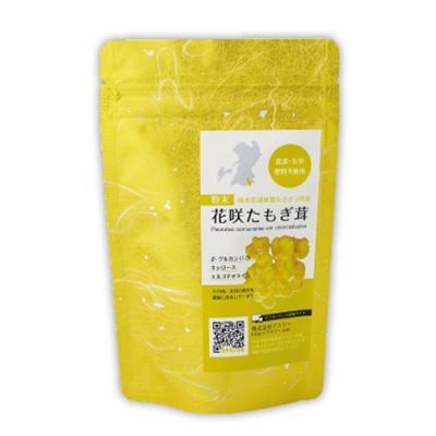 ふるさと納税 あさぎり町 熊本県あさぎり町産　「粉末　花咲たもぎ茸」70g×1袋