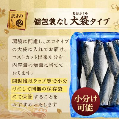 ふるさと納税 別海町 訳あり 北海道産 無塩さば 2kg 小分け 無添加・国産サバフィレ サバの味噌煮にも合う天然鯖 |  | 01