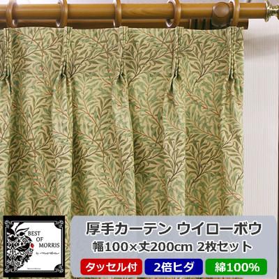 ふるさと納税 茅野市 厚地カーテン ウイローボウ 幅100×丈200cm×2枚　Fabric by ベストオブモリス | 