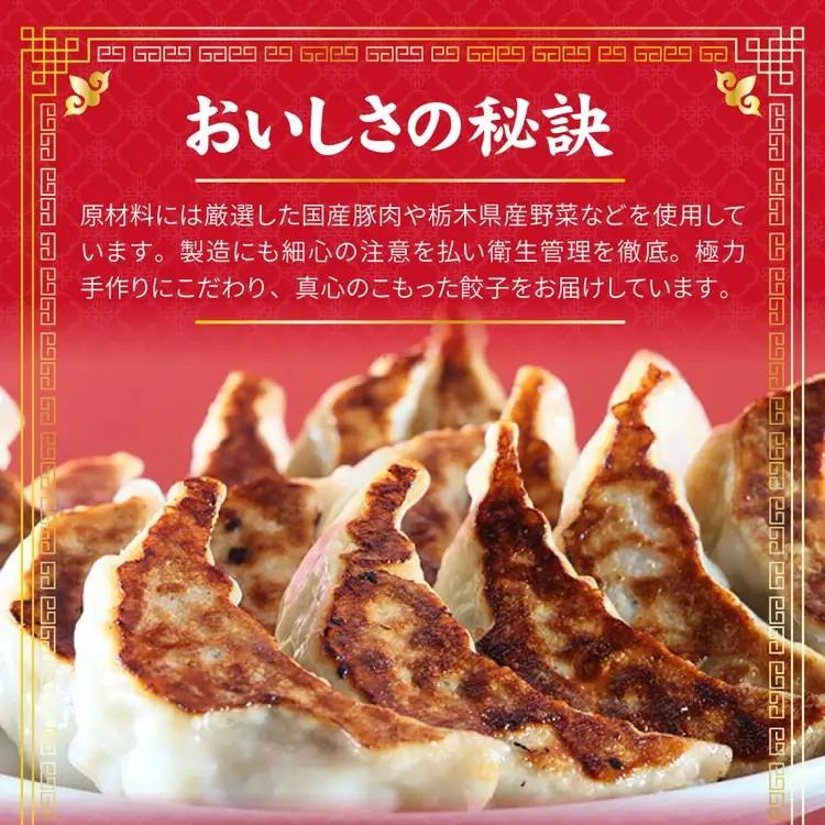 餃子専門店 宇都宮 悟空 肉餃子 22g×100個入