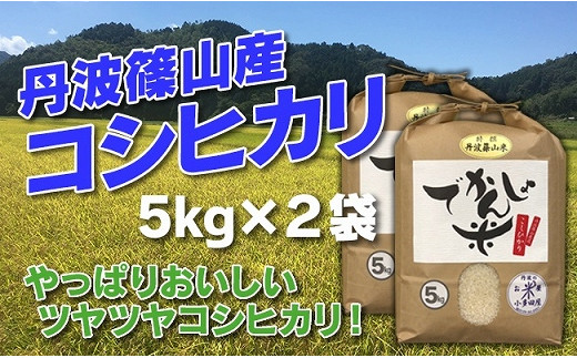 新米予約【令和8年産】お米のおいしさ伝えたい！でかんしょ米 丹波篠山産コシヒカリ5kg×2