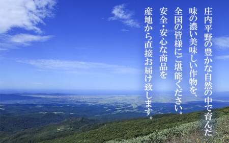 【令和8年産先行予約】 さくらんぼ 紅秀峰 約1kg 山形県庄内産　丸果庄内青果　| サクランボ フルーツ 果物 くだもの 旬 人気 美味しい 大粒 鶴岡市 先行予約 返礼品 