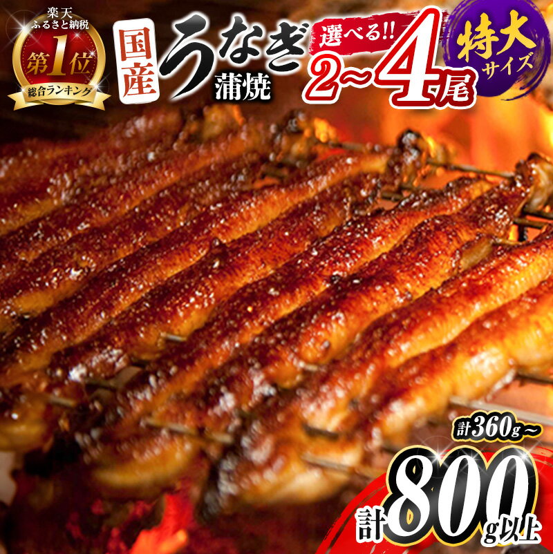 新富町産うなぎ蒲焼4尾 合計760g以上